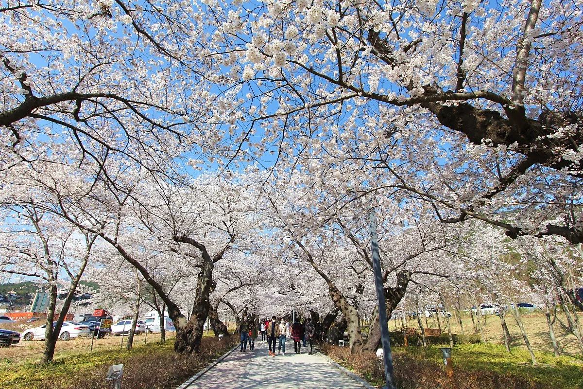 01%EC%9E%91%EC%B2%9C%EC%A0%95_%281%29.JPG?type=w1200