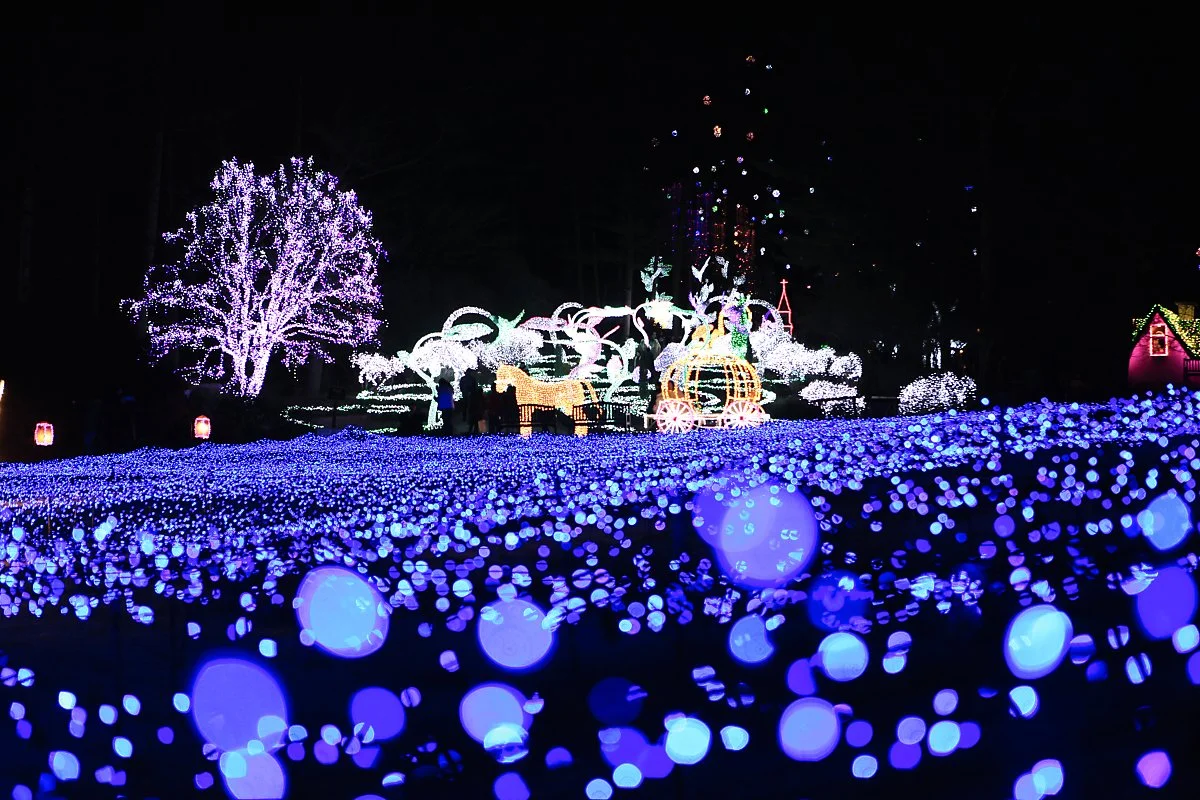 %EC%95%84%EC%B9%A8%EA%B4%91%EC%9E%A5%2C%ED%95%98%EB%8A%98%EA%B8%B8_%282%29.jpg?type=w1200