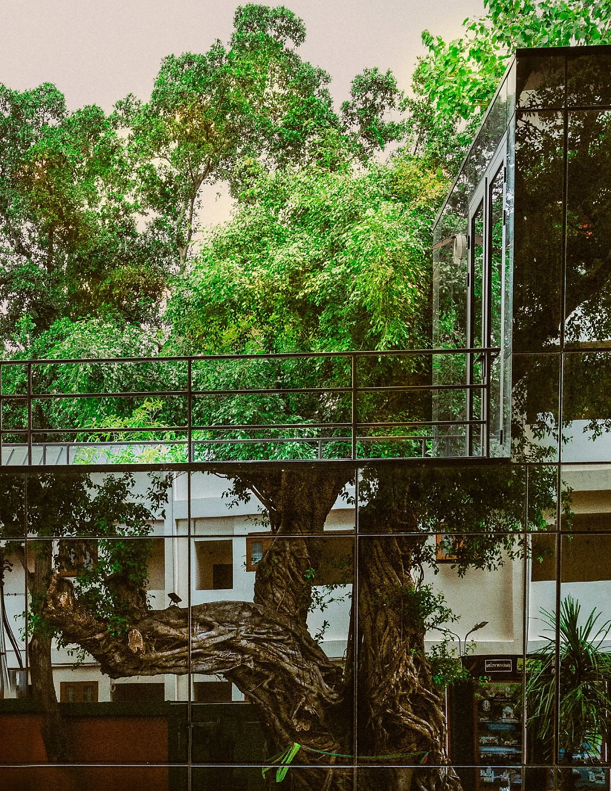 %EC%9D%B4%EA%B1%B0_%EB%91%90%EA%B0%9C_%EB%82%98%EB%9E%80%ED%9E%88_%EC%8D%A8%EC%A3%BC%EC%85%94%EB%8F%84_%EC%A2%8B%EC%9D%84_%EA%B1%B0_%EA%B0%99%EC%95%84%EC%9A%94_%282%29.JPG?type=w1200