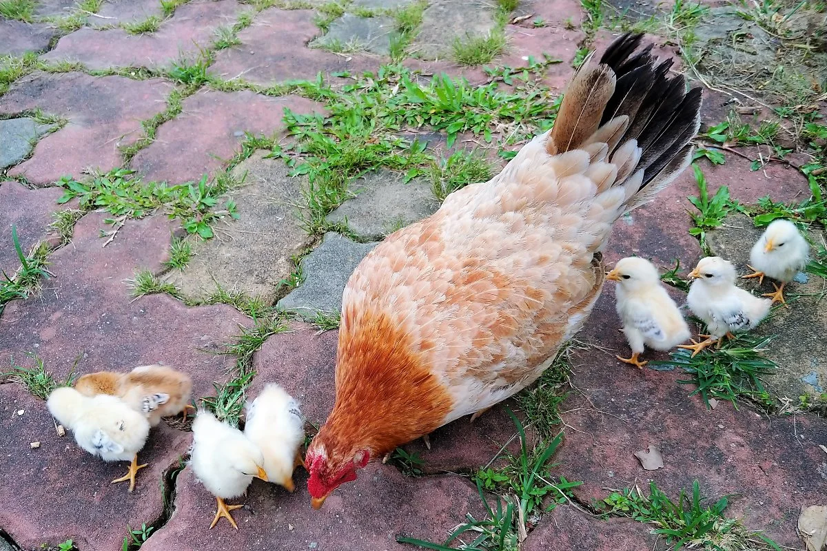 08%EC%8B%9C%EC%97%94%ED%9B%84_%286%29.jpg?type=w1200