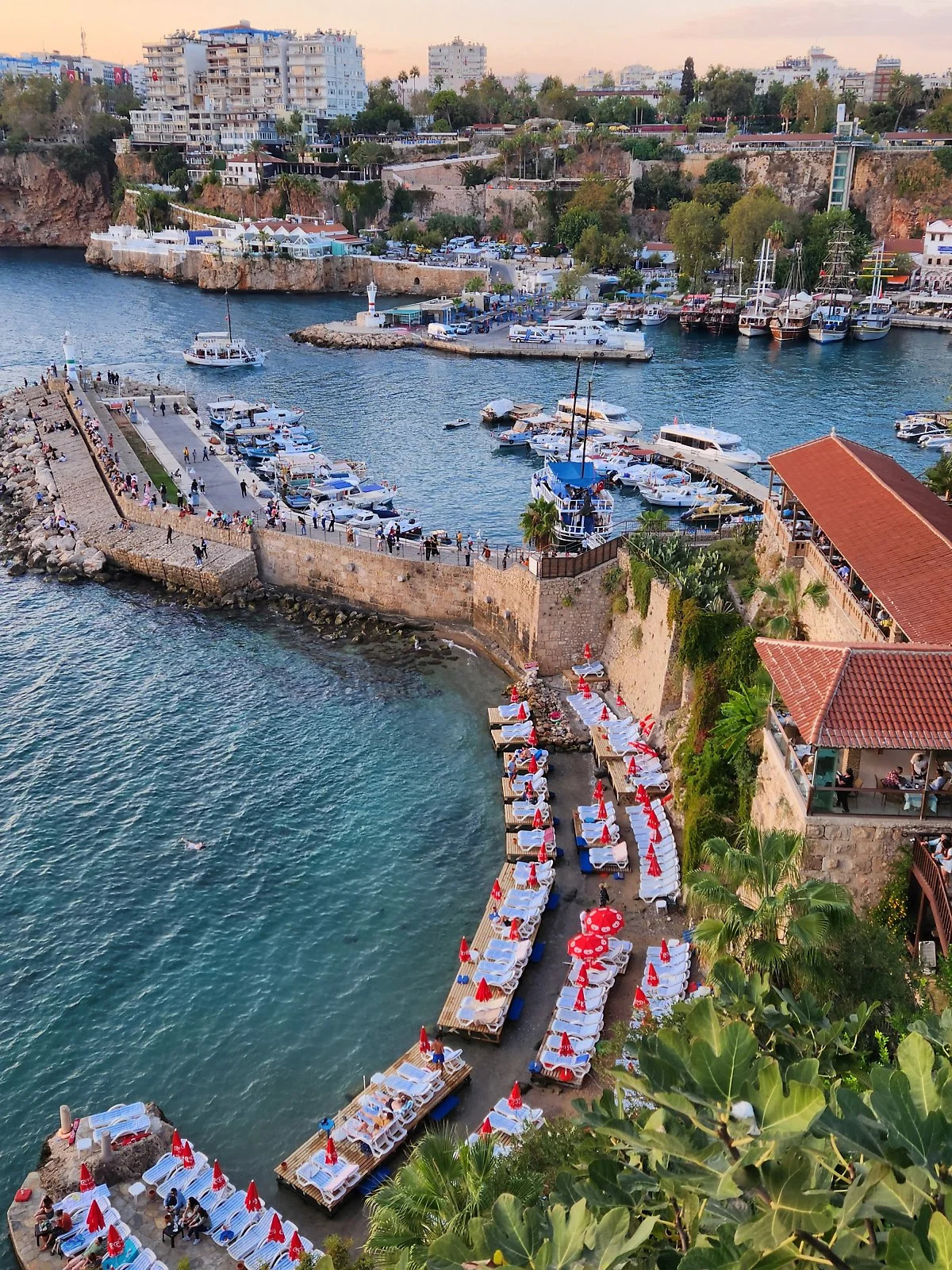 %EC%95%88%ED%83%88%EB%A6%AC%EC%95%84_%EC%98%AC%EB%93%9C%ED%83%80%EC%9A%B4_%2838%29.jpg?type=w1200