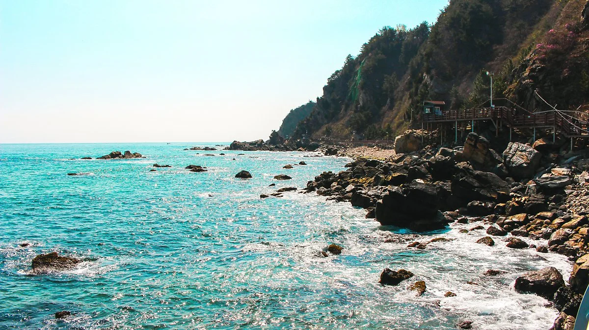 %EB%B0%94%EB%8B%A4%EB%B6%80%EC%B1%84%EA%B8%B8_%284%29.jpg?type=w1200