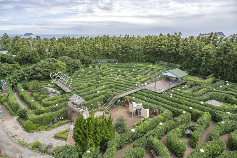 %EB%8D%94%EC%84%B8%EB%A6%AC%EB%A6%AC%EC%A1%B0%ED%8A%B8_%281%29.jpg?type=w1200