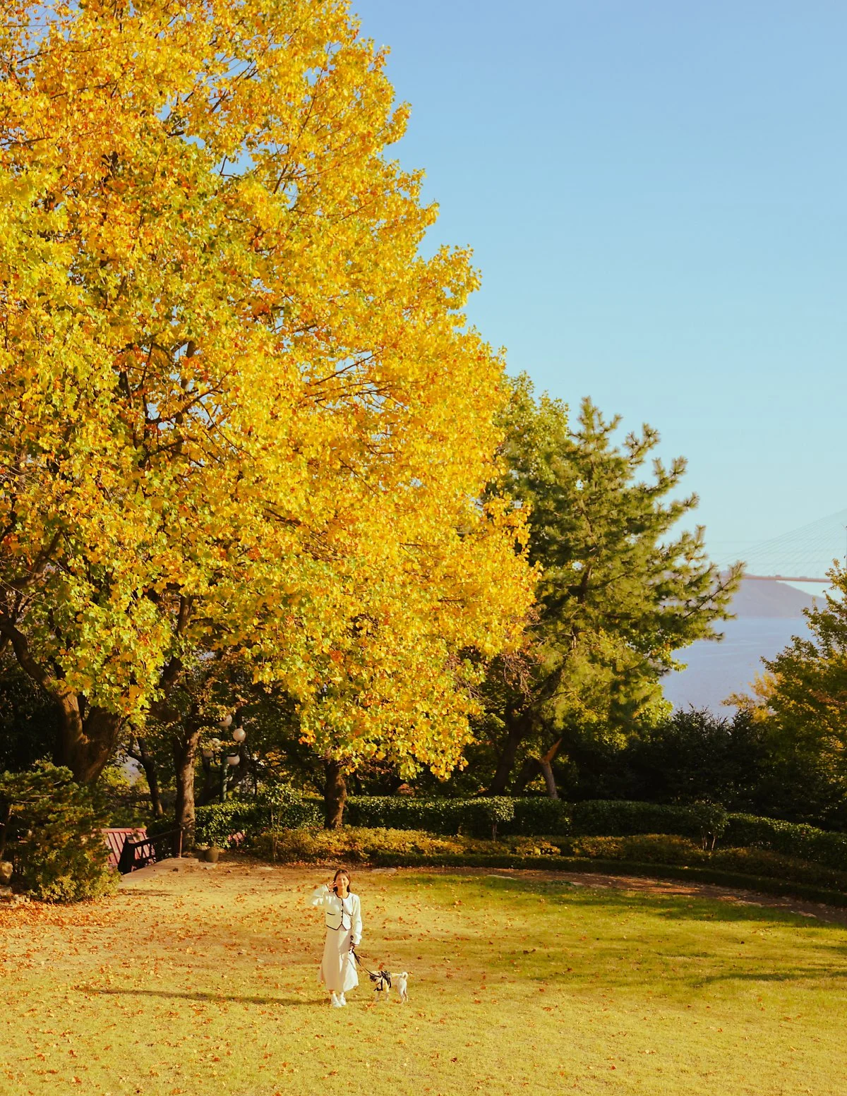 %EA%B2%BD%EB%82%A8_%EC%B0%BD%EC%9B%90_%EB%8F%9D%EC%84%AC.jpg?type=w1200