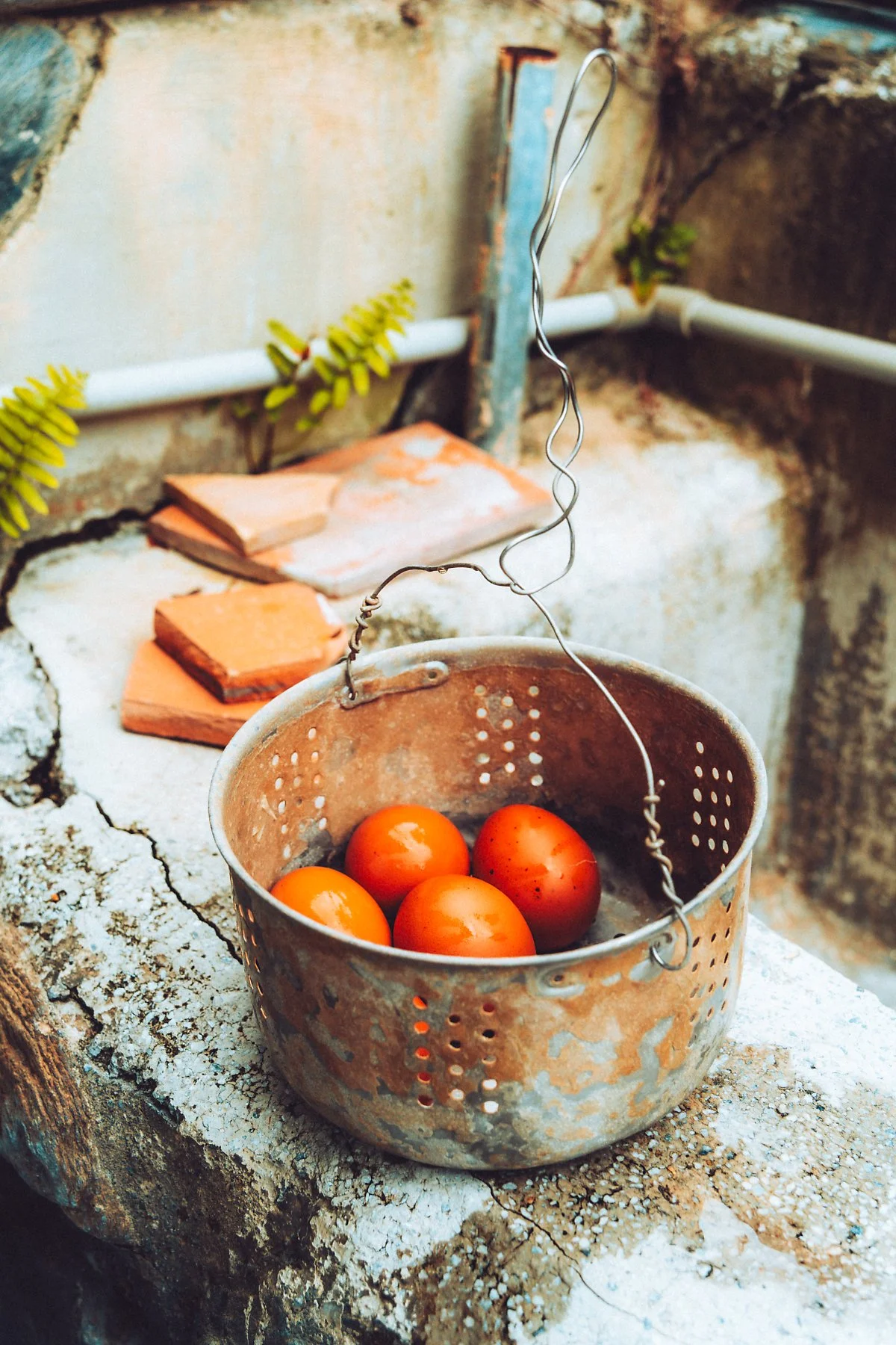 %EC%A6%88%EB%B2%88%EC%98%A8%EC%B2%9C_%284%29.jpg?type=w1200