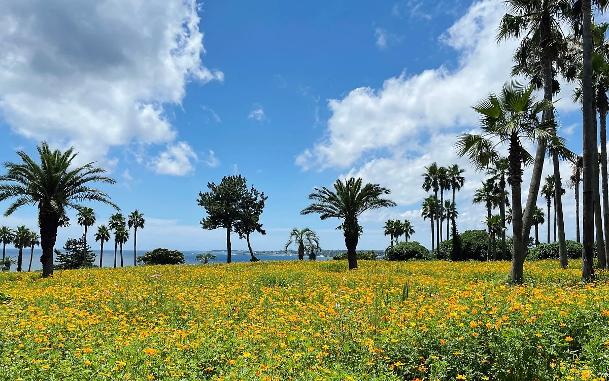 %EC%86%8C%EB%85%B8%EC%BA%84%EC%A0%9C%EC%A3%BC_%282%29.JPG?type=w1200