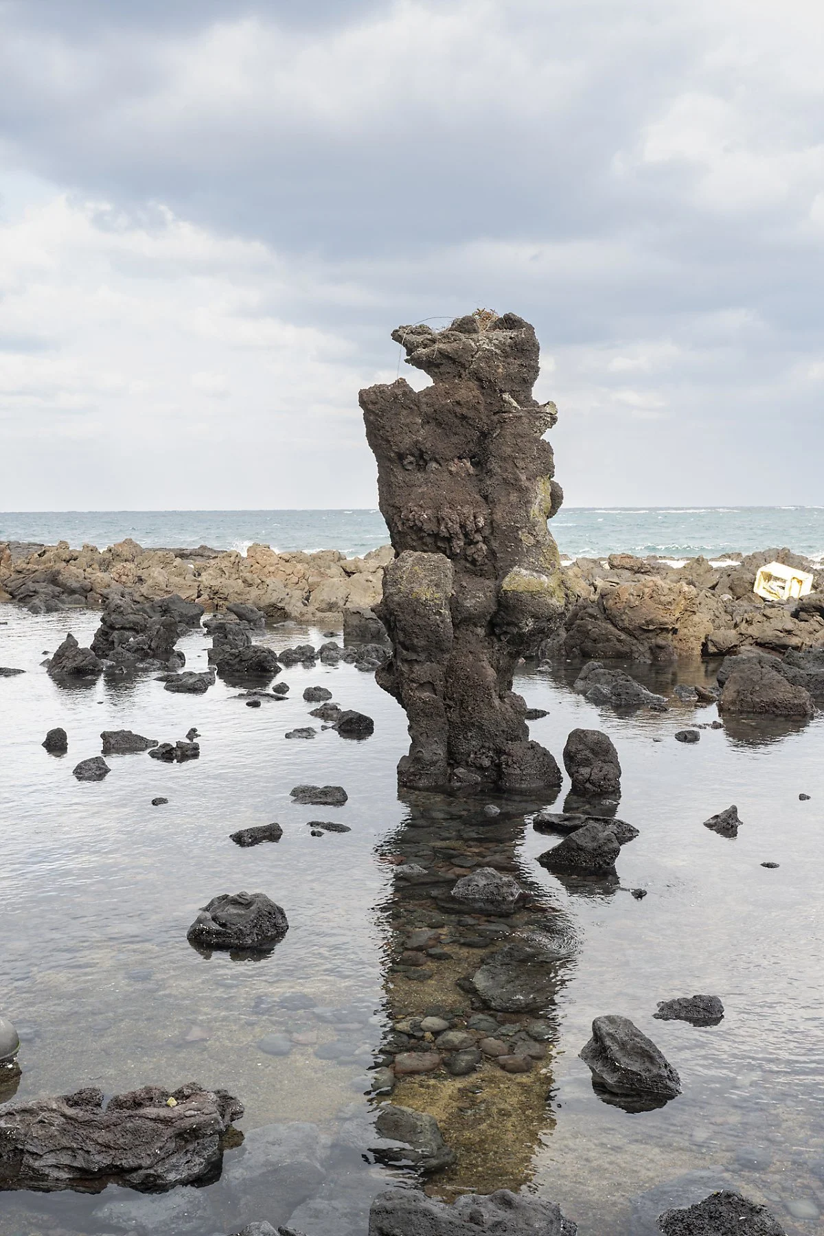 %EC%95%A0%EA%B8%B0%EC%97%85%EC%9D%80_%EB%8F%8C_%281%29.jpg?type=w1200