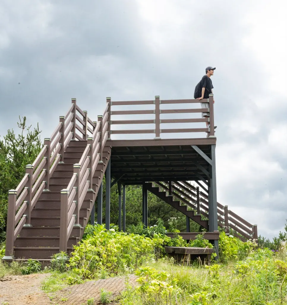 SE-d2ab96dc-001c-4ab6-9cb8-777df50cbe09.jpg?type=w966