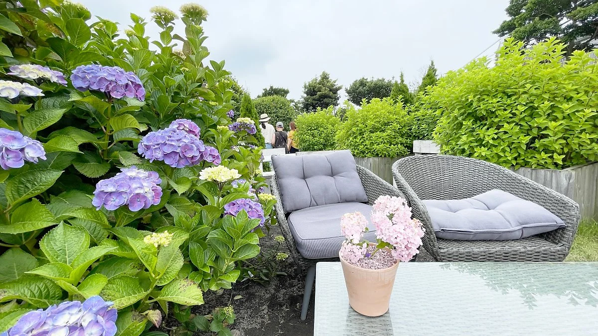 %EB%A7%88%EB%85%B8%EB%A5%B4%EB%B8%94%EB%9E%91_%284%29.JPG?type=w1200