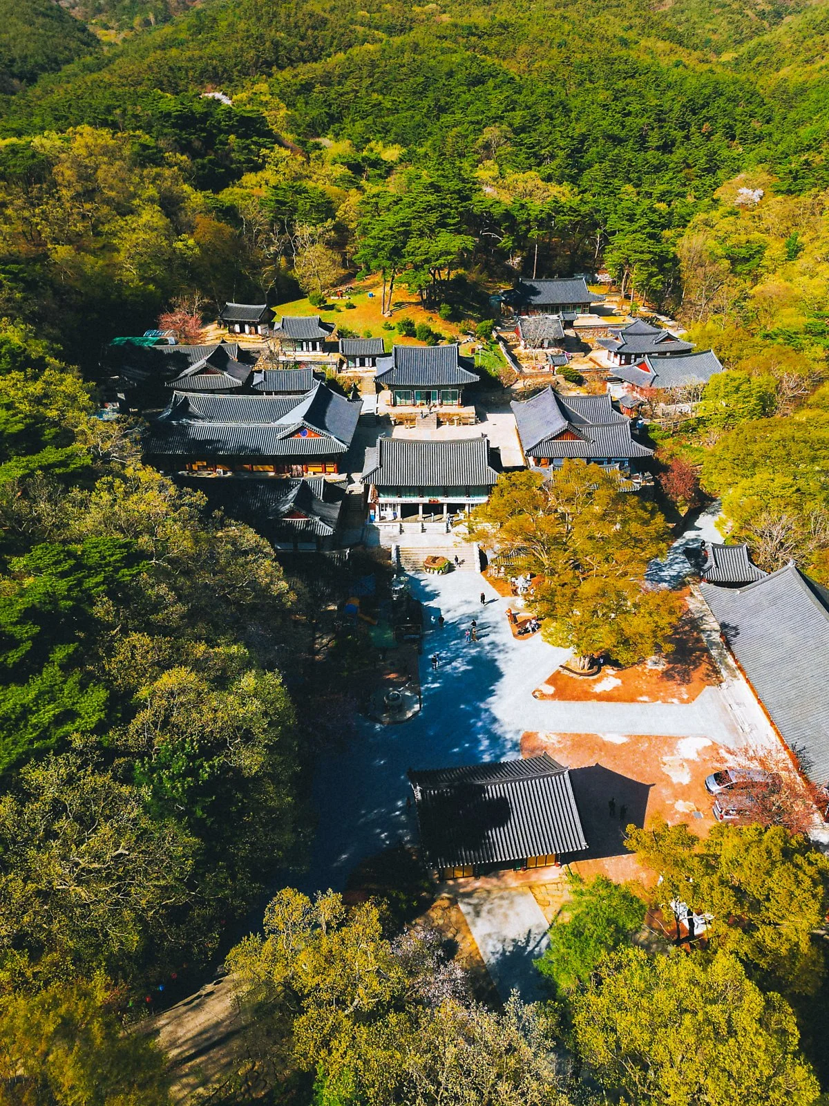 %EB%8F%99%ED%99%94%EC%82%AC_%282%29.jpg?type=w1200