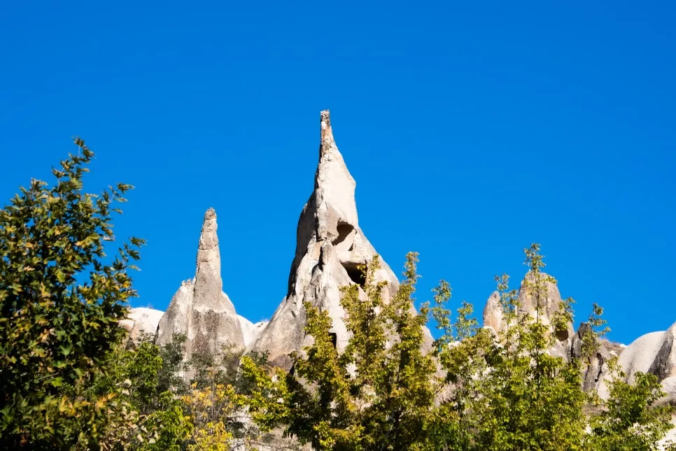 %EA%B4%B4%EB%A0%88%EB%A9%94-07.jpg?type=w966