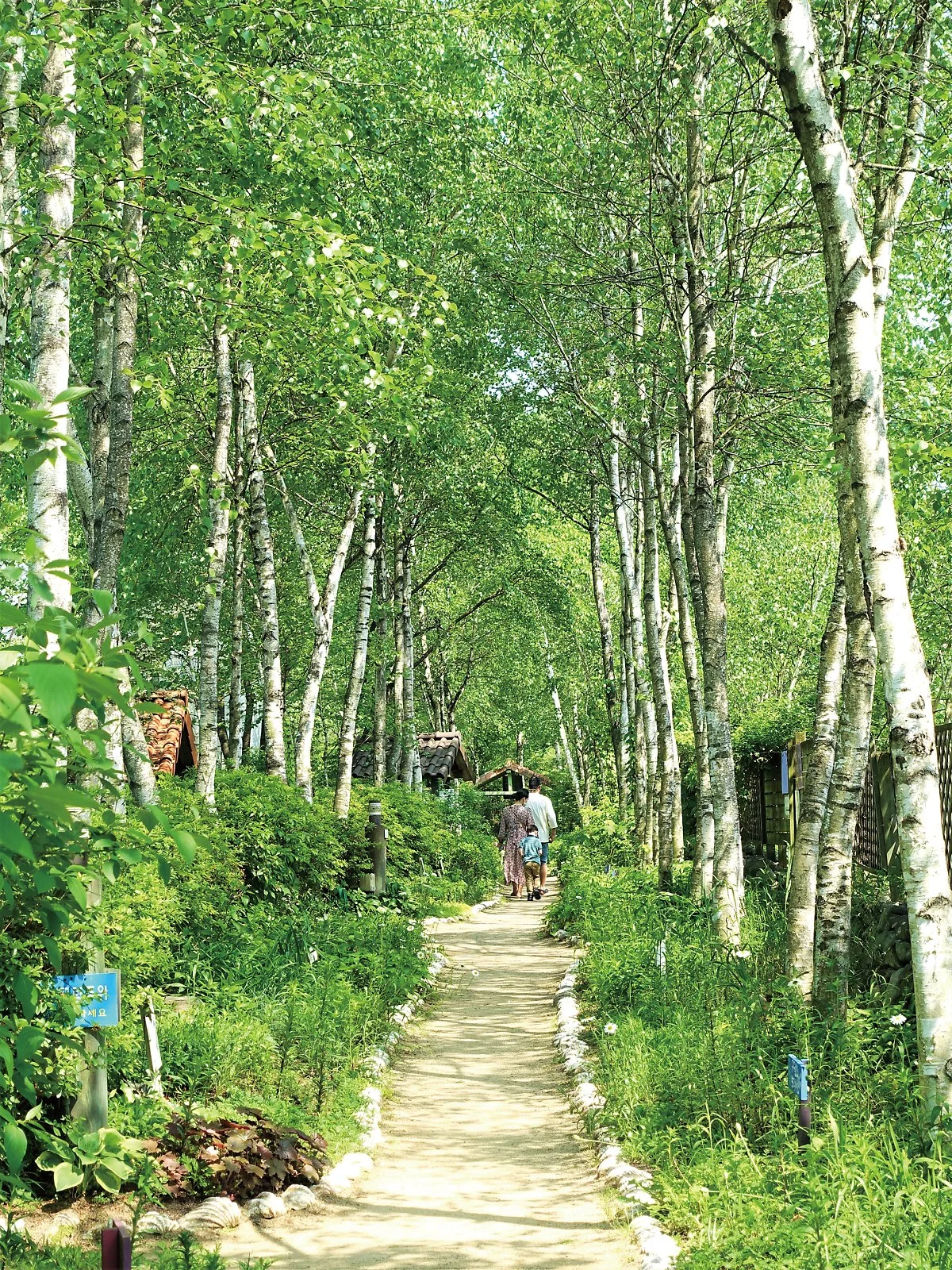 %EC%9B%90%EC%A3%BC%ED%97%88%EB%B8%8C%ED%8C%9C_%EA%B9%80%EC%84%A0%EC%A3%BC_202005_%2872%29.JPG?type=w1200