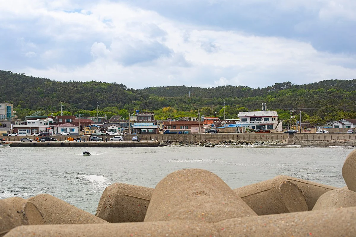 d_%EB%8F%99%EB%B0%B1%EB%B0%A9%ED%8C%8C%EC%A0%9C_2.jpg?type=w1200