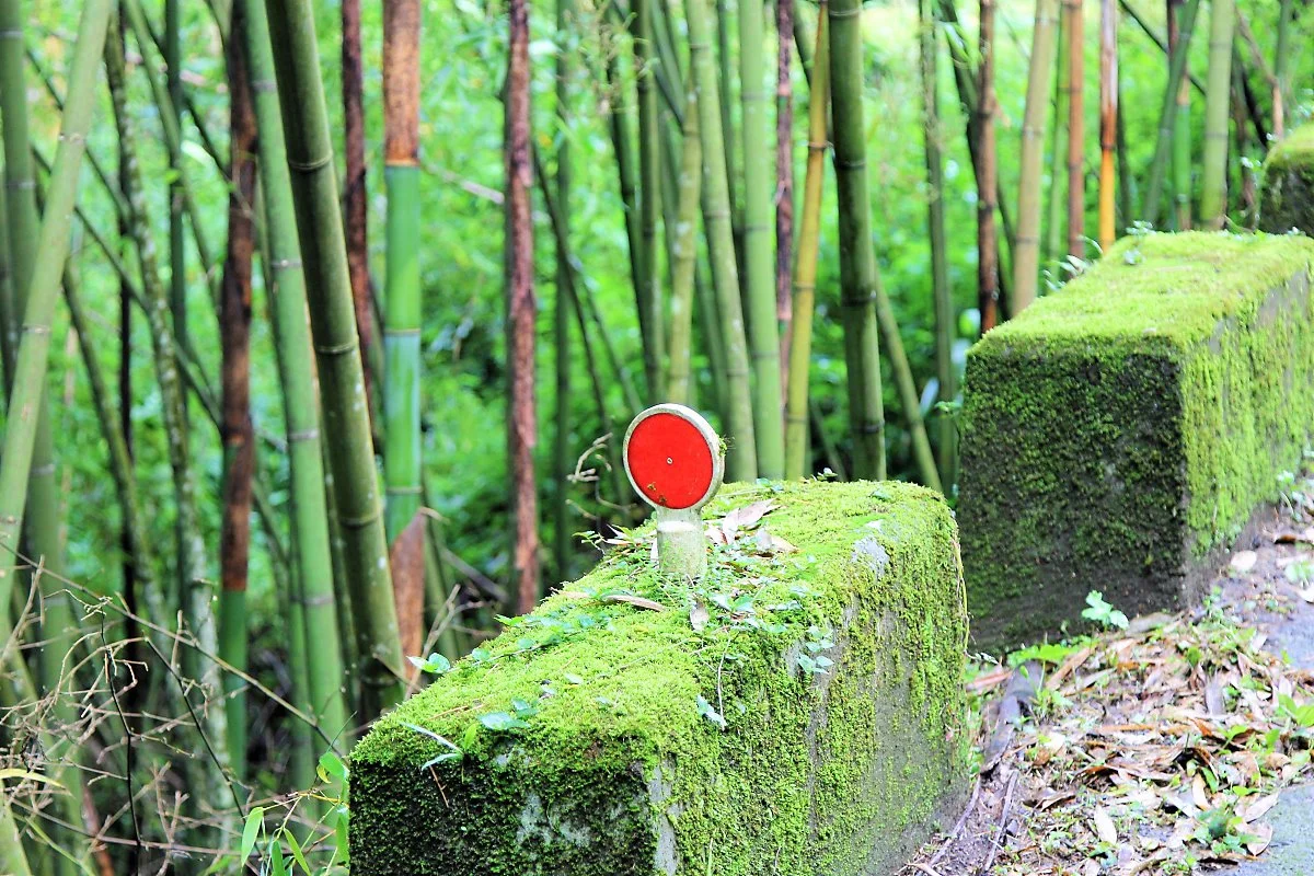 03%EB%A1%B1%EC%9C%88_%ED%8A%B8%EB%A0%88%ED%82%B9_%285%29.JPG?type=w1200