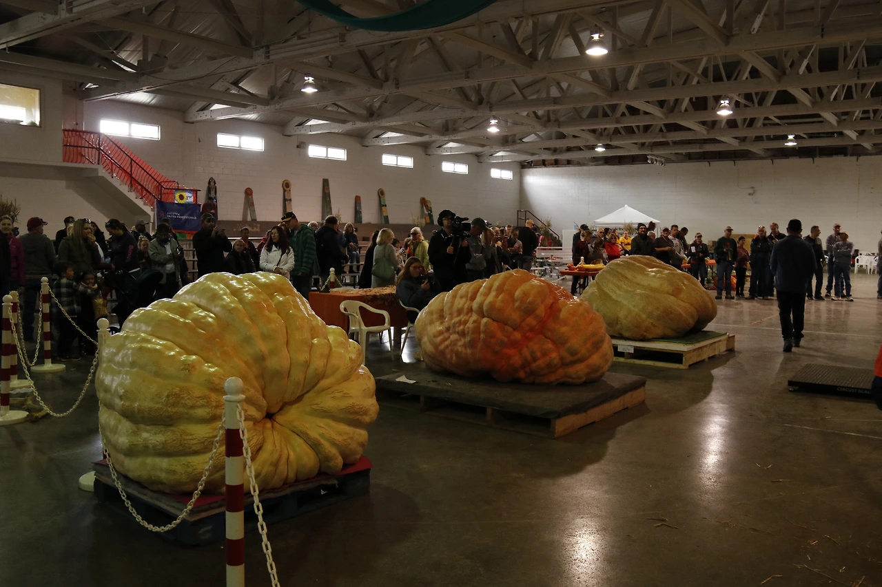 2.Pumpkinfest.JPG
