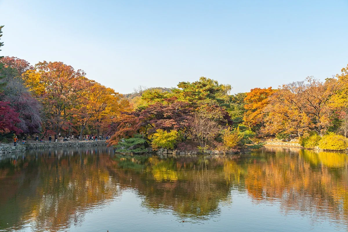 %EC%B0%BD%EA%B2%BD%EA%B6%81_006.jpg?type=w1200