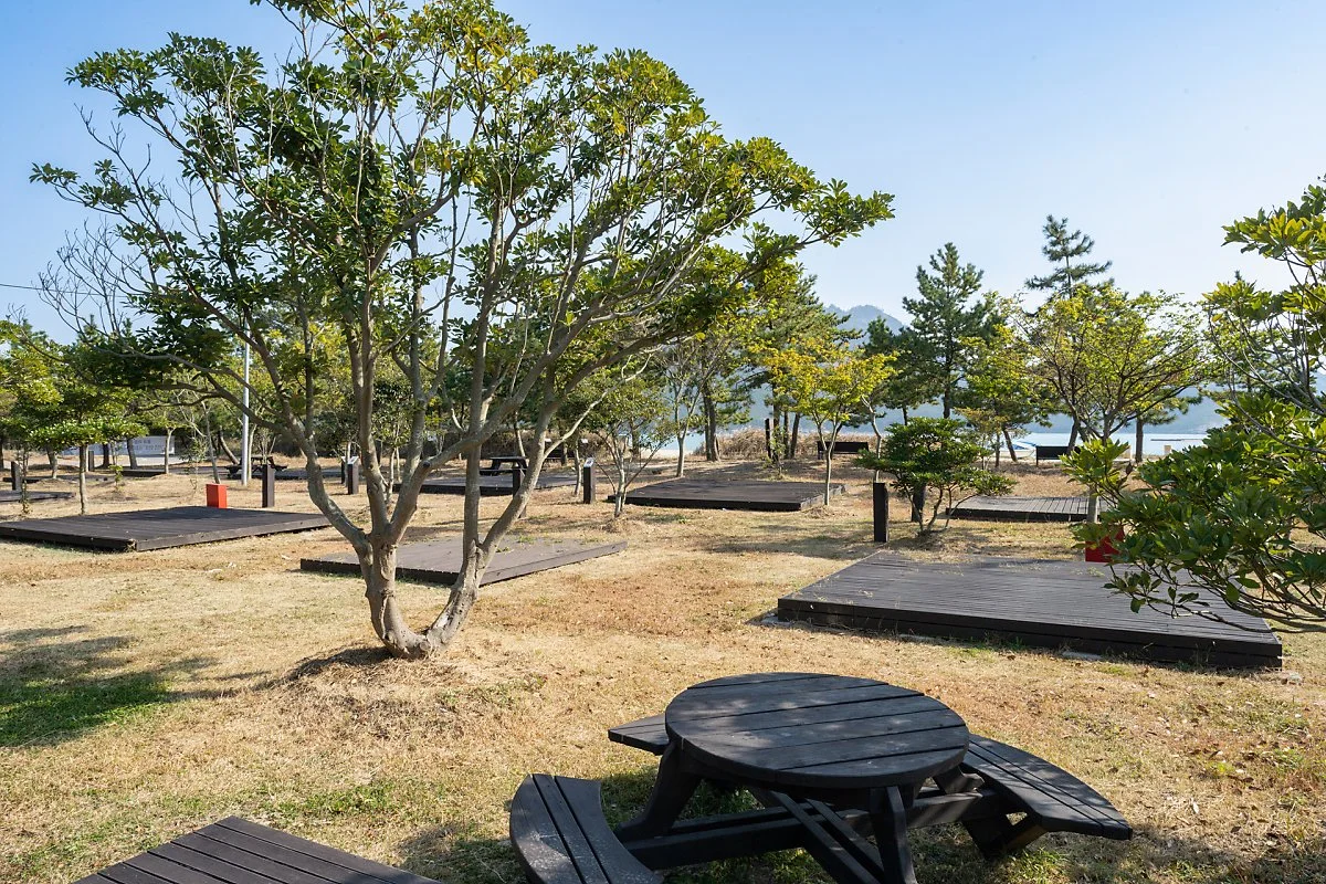 %EC%8B%9C%EB%AA%A9%EC%95%BC%EC%98%81%EC%9E%A5_%281%29.jpg?type=w1200