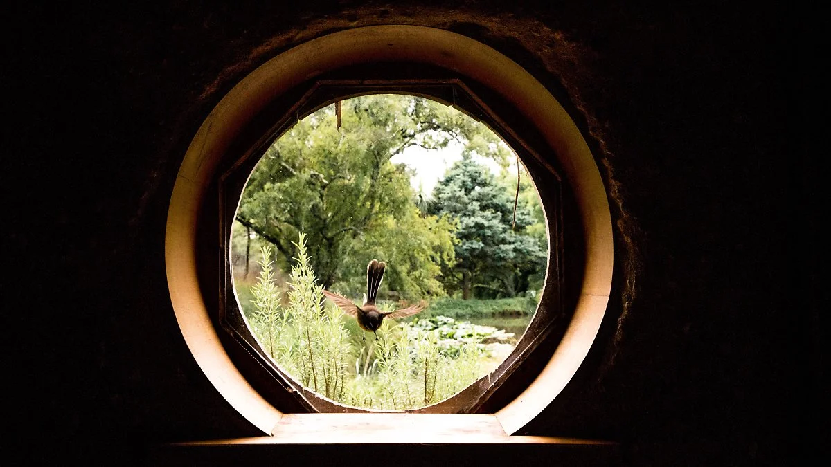 o_%EC%99%80%EC%9D%B4%EC%B9%B4%ED%86%A0_%EC%A7%80%EB%B0%A9%EC%9D%98_%EA%B8%80%EB%9E%A8%ED%95%91%EC%9E%A5%2C_%EC%96%B8%EB%8D%94%ED%9E%90%EB%B0%B8%EB%A6%AC_-_Canopy_Camping_%C2%A9Brook_Sabin_-_Underhill_Valley%2C_Canopy_Camping_%283%29.jpg?type=w1200