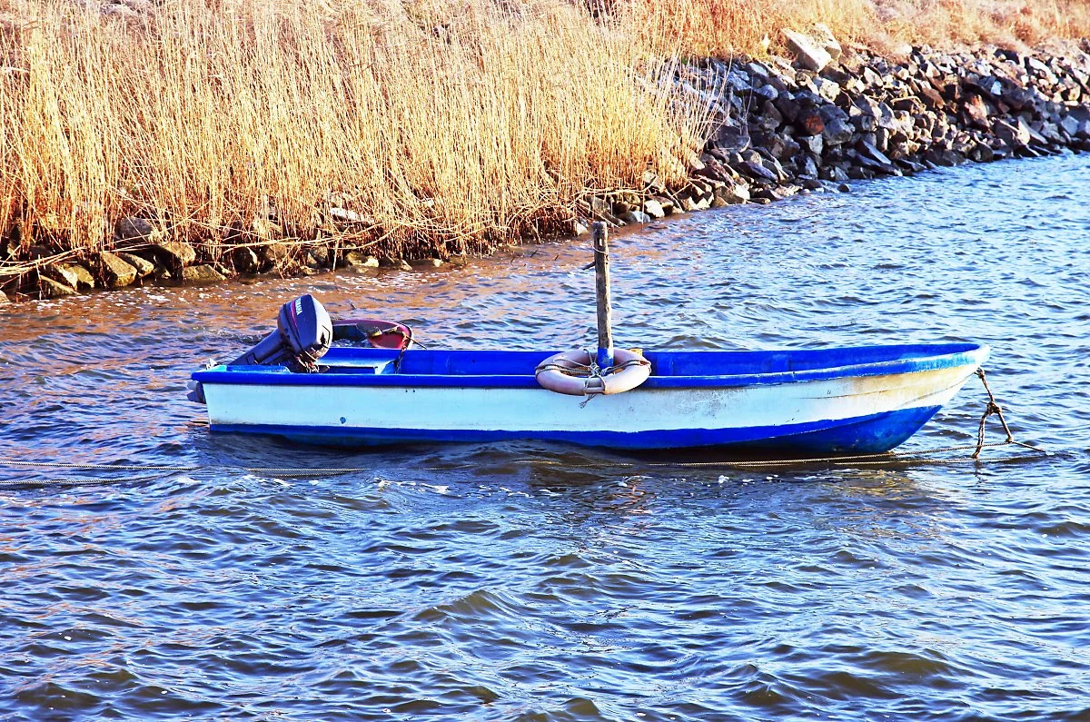 %EA%B3%B0%EA%B0%9C%EB%82%98%EB%A3%A8_%EA%B8%88%EA%B0%95_%EA%B0%80_%EC%A1%B0%EA%B0%81%EB%B0%B0.JPG?type=w1200