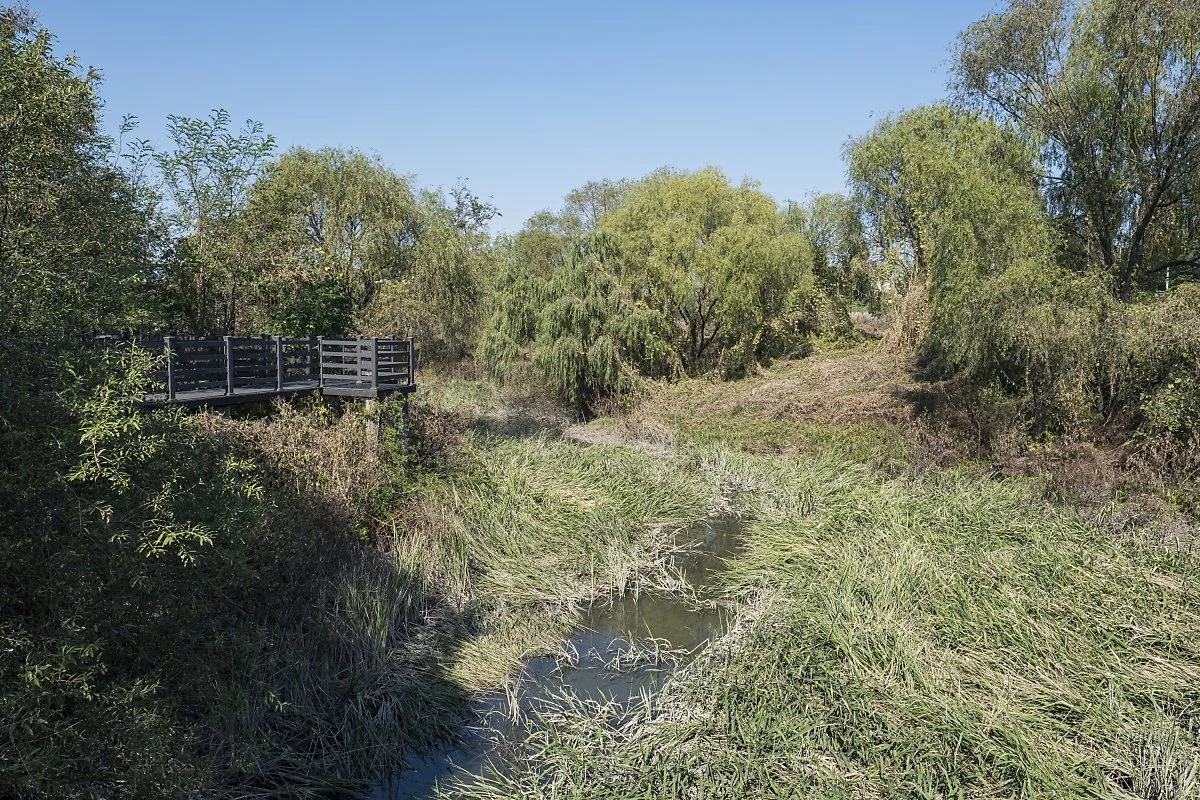 %EC%9E%A5%ED%95%AD%EC%8A%B5%EC%A7%80_%285%29.jpg?type=w1200