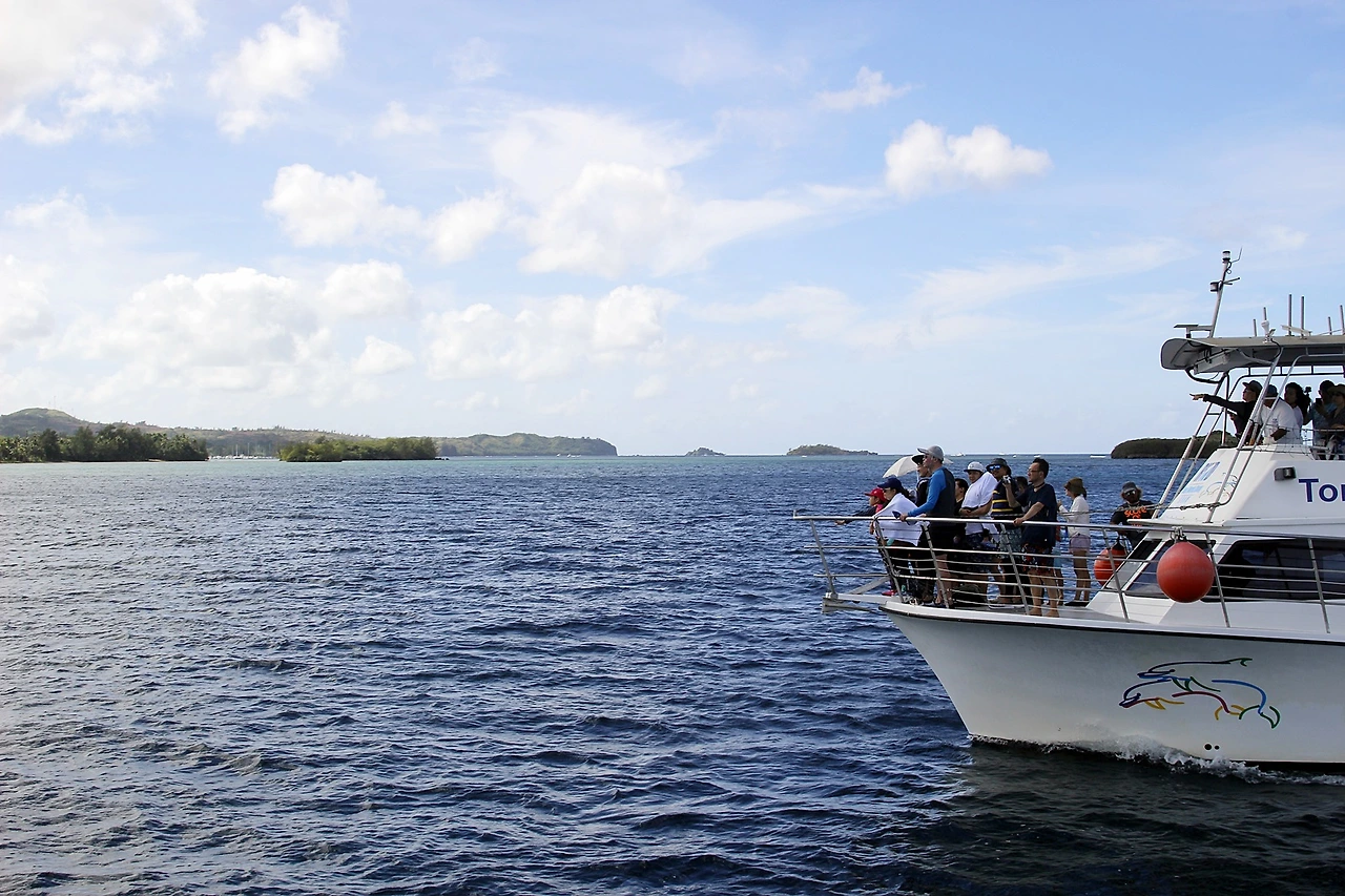 돌핀투어 (1).JPG