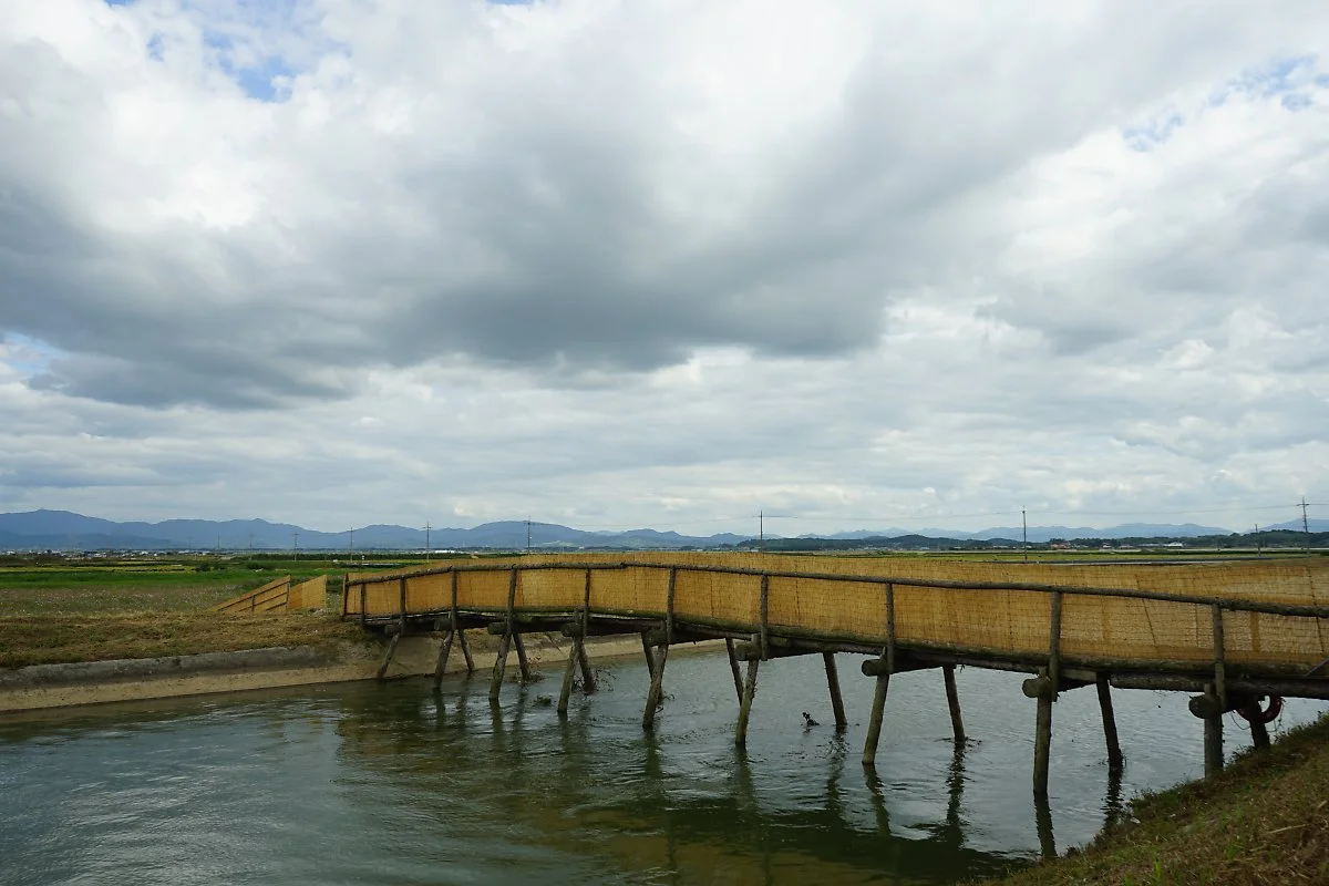 DSC00159.JPG?type=w1200