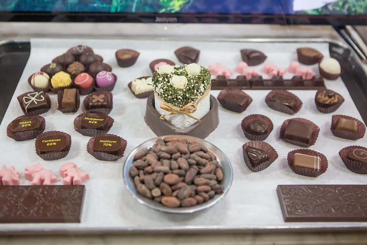 %EC%B4%88%EC%BD%9C%EB%A6%BF%EB%B0%95%EB%AC%BC%EA%B4%80_%2812%29.JPG?type=w1200