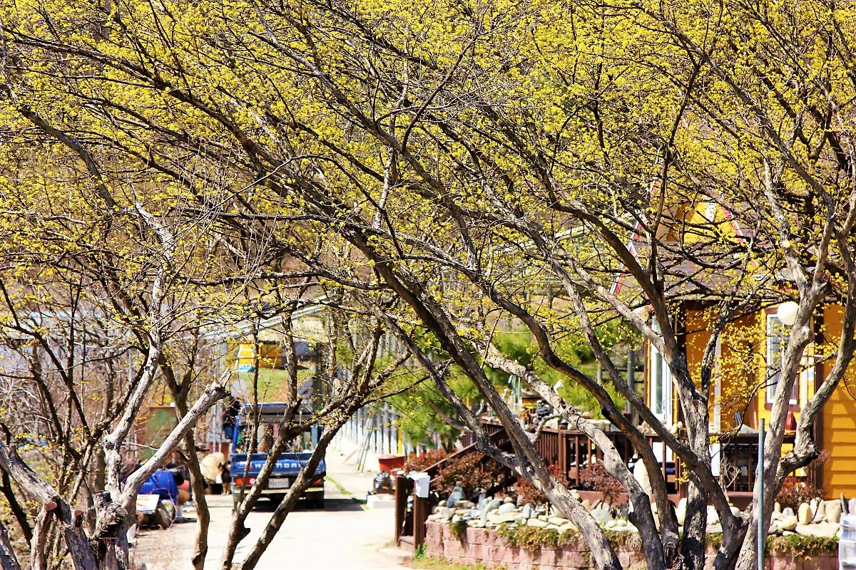 02%EC%96%91%ED%8F%89%EC%82%B0%EC%88%98%EC%9C%A0%EB%A7%88%EC%9D%84_%284%29.JPG?type=w1200