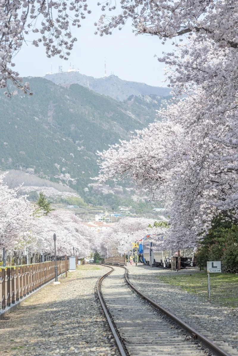 %ED%81%AC%EA%B8%B0%EB%B3%80%ED%99%98%EA%B2%BD%ED%99%94%EC%97%AD_%283%29.jpg?type=w1200