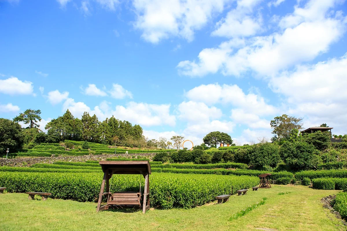 %EC%84%9C%EA%B7%80%ED%8F%AC%EB%86%8D%EC%97%85%EA%B8%B0%EC%88%A0%EC%84%BC%ED%84%B0_%287%29.JPG?type=w1200