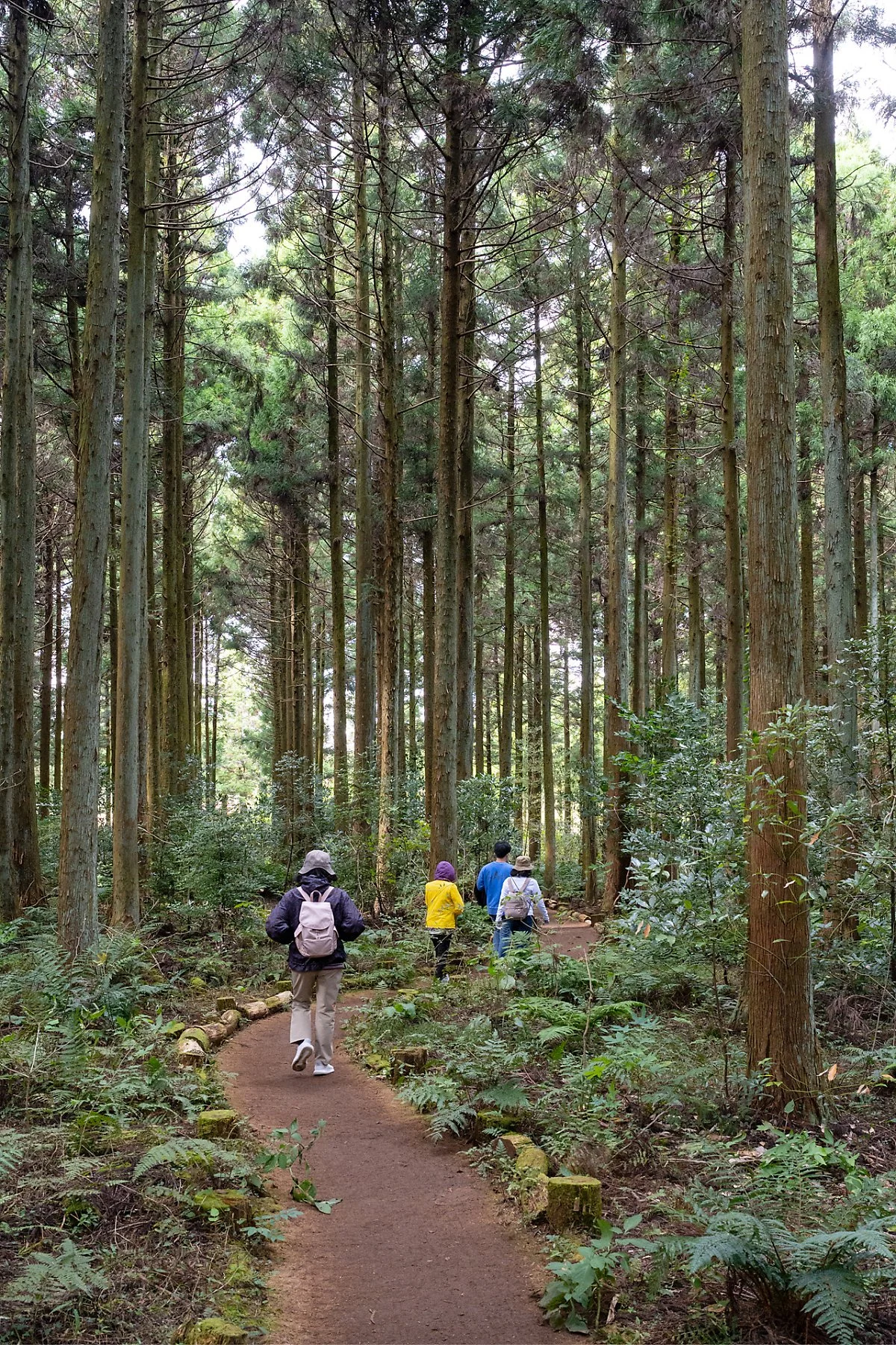 %EB%B6%89%EC%9D%80%EC%98%A4%EB%A6%84_%282%29.jpg?type=w1200