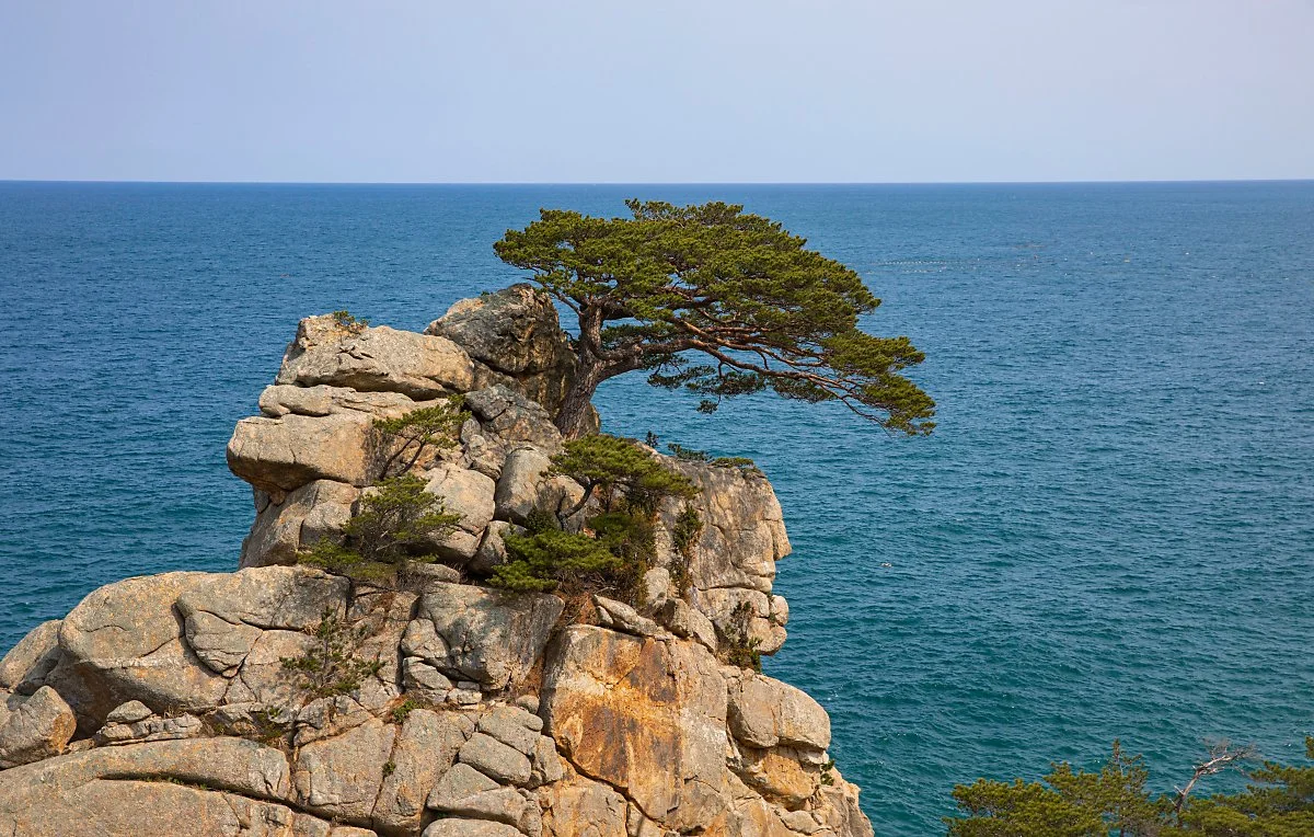 d_%ED%95%98%EC%A1%B0%EB%8C%80_1.jpg?type=w1200