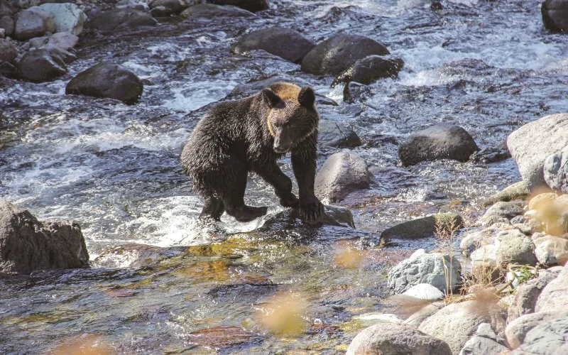 1_%EB%B6%88%EA%B3%B0%28%E3%81%B2%E3%81%90%E3%81%BE%29.jpeg?type=w1200