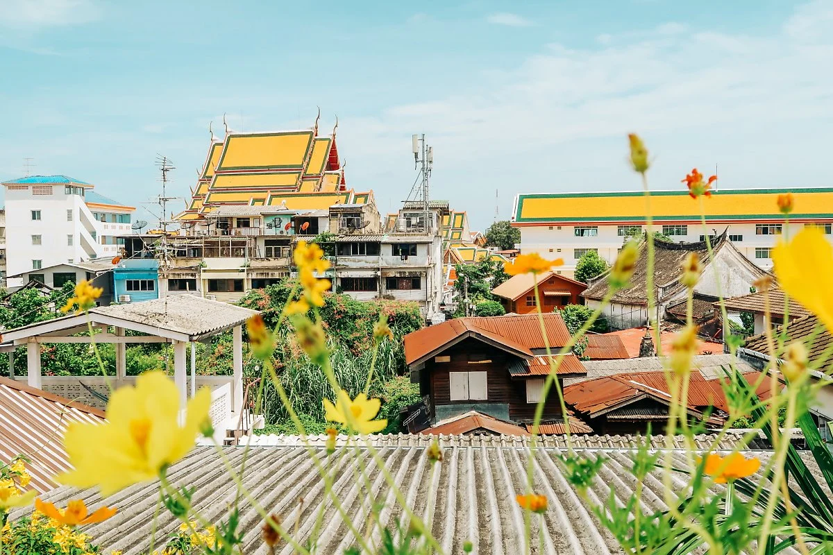 20220612-_%EB%B0%98%EC%BF%A0%EB%94%94%EC%B9%9C_%EB%B0%95%EB%AC%BC%EA%B4%80_%EB%A3%A8%ED%94%84%ED%86%B1%EC%97%90%EC%84%9C_%EB%B0%94%EB%9D%BC%EB%B3%B8_%EB%A7%88%EC%9D%84.jpg?type=w1200