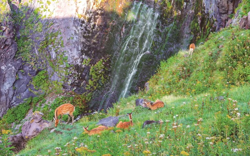 1_%ED%9B%84%EB%A0%88%ED%8E%98%EB%85%B8%ED%83%80%ED%82%A4%28%E3%83%95%E3%83%AC%E3%83%9A%E3%81%AE%E6%BB%9D%293.jpeg?type=w1200