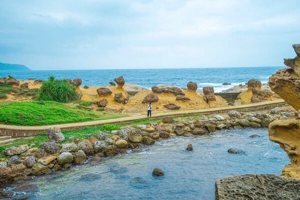 %ED%83%80%EC%9D%B4%EC%99%846.jpg?type=w1200