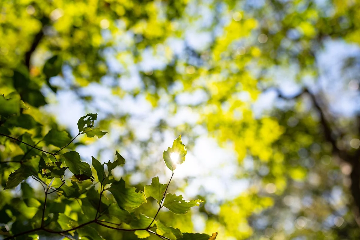 %EA%B1%B0%EB%AC%B8%EC%98%A4%EB%A6%84_%284%29.jpg?type=w1200