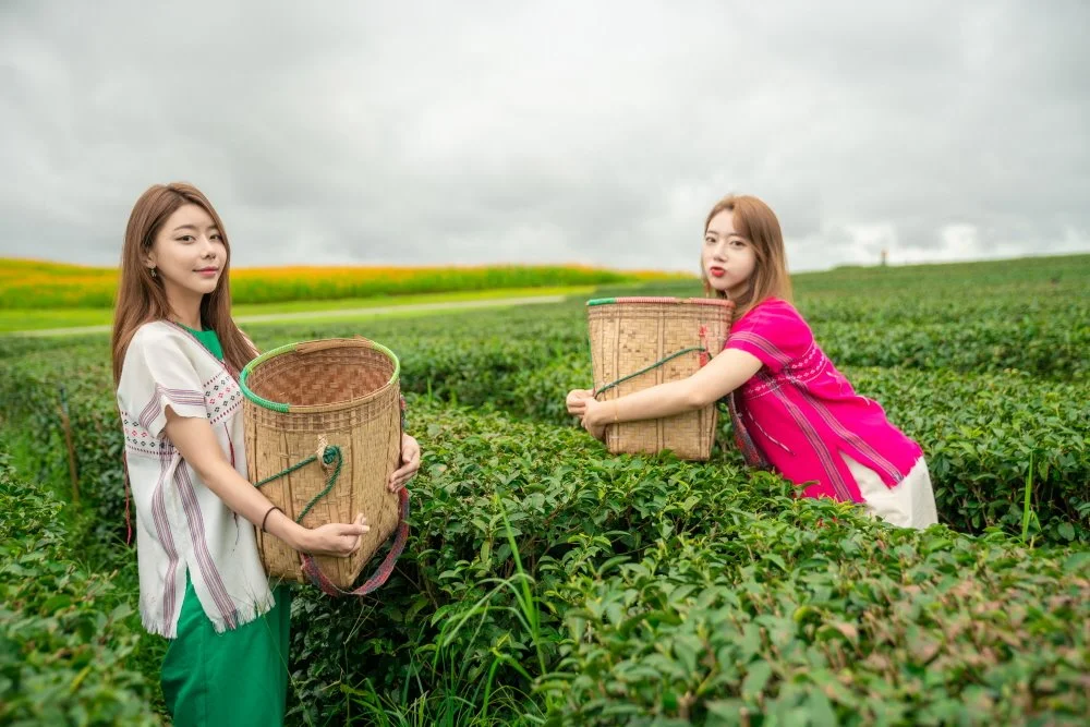 %ED%81%AC%EA%B8%B0%EB%B3%80%ED%99%98_%EC%8B%B1%ED%95%98%ED%8C%8C%ED%81%AC_%289%29.jpg?type=w1200