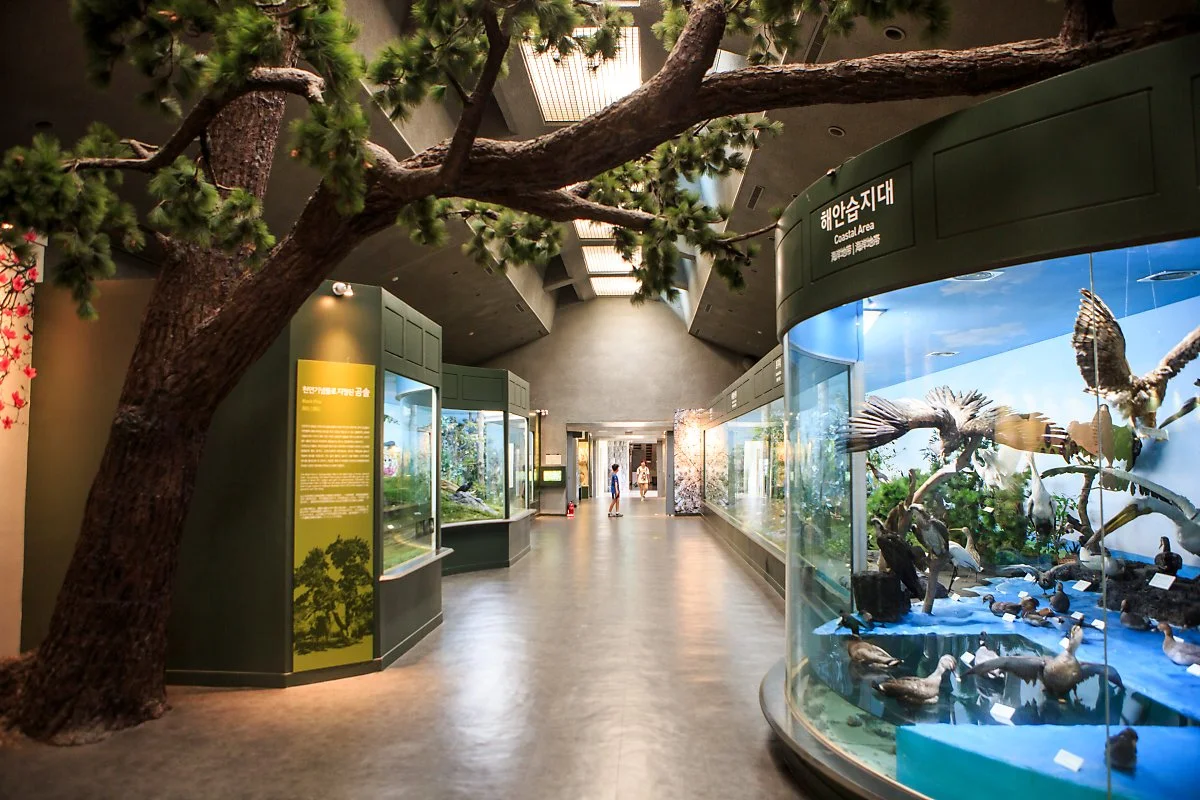 %EB%AF%BC%EC%86%8D%EC%9E%90%EC%97%B0%EC%82%AC%EB%B0%95%EB%AC%BC%EA%B4%80_%285%29.JPG?type=w1200