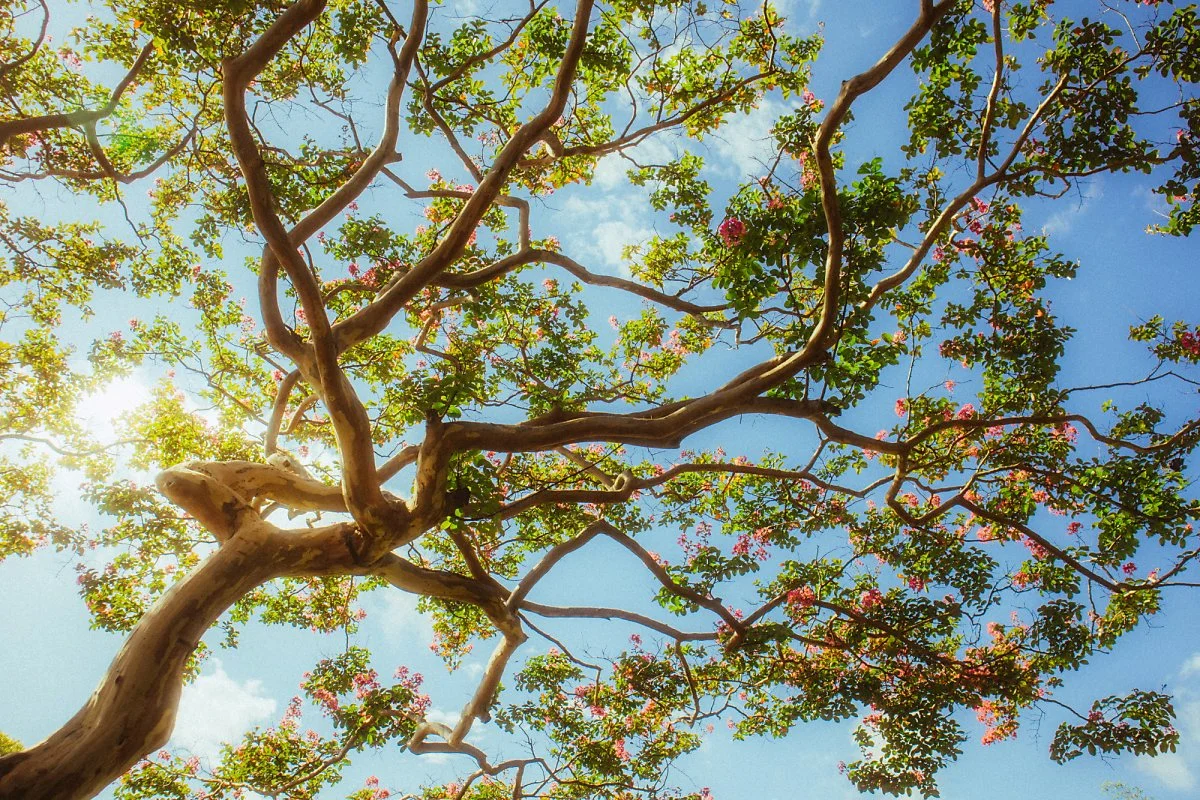 %EB%8F%84%EB%B9%84%EB%9D%BC_%EC%9C%84.jpg?type=w1200