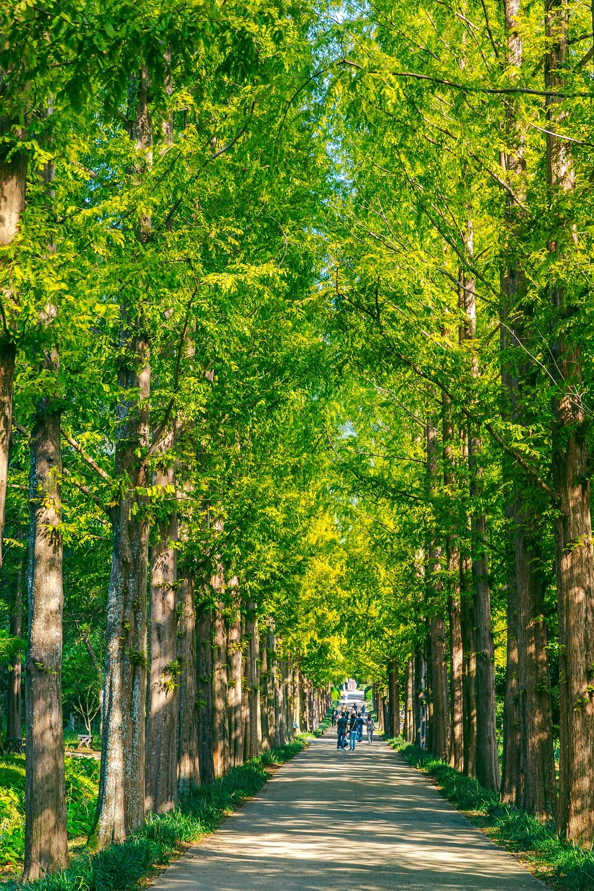 d_%EC%A0%84%EB%9D%BC%EB%82%A8%EB%8F%84_%EC%82%B0%EB%A6%BC%EC%9E%90%EC%9B%90%EC%97%B0%EA%B5%AC%EC%86%8C.jpg?type=w1200