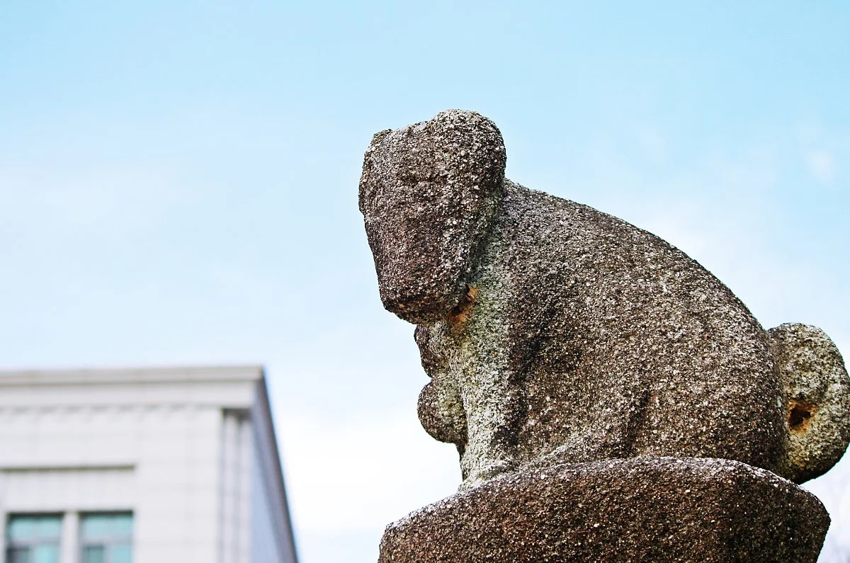 %EC%9C%A1%EA%B1%B0%EB%A6%AC%EC%A2%85%ED%95%A9%EC%8B%9C%EC%9E%A5%EC%97%90_%EB%AC%BB%ED%9E%8C_%EB%82%A8%EC%84%9D%EA%B5%90_%EB%B6%80%EC%86%8D%EB%AC%BC._%EB%8F%8C%EA%B8%B0%EB%91%A5_%EC%9C%84%EC%97%90_%EA%B0%9C_%EB%AA%A8%EC%96%91%EC%9D%98_%EC%84%9D%EA%B5%AC.JPG?type=w1200