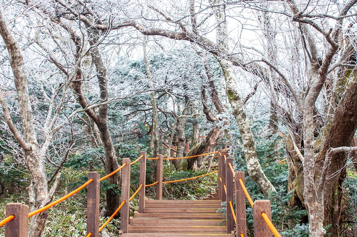 %EC%82%AC%EB%9D%BC%EC%98%A4%EB%A6%84_002.jpg?type=w1200