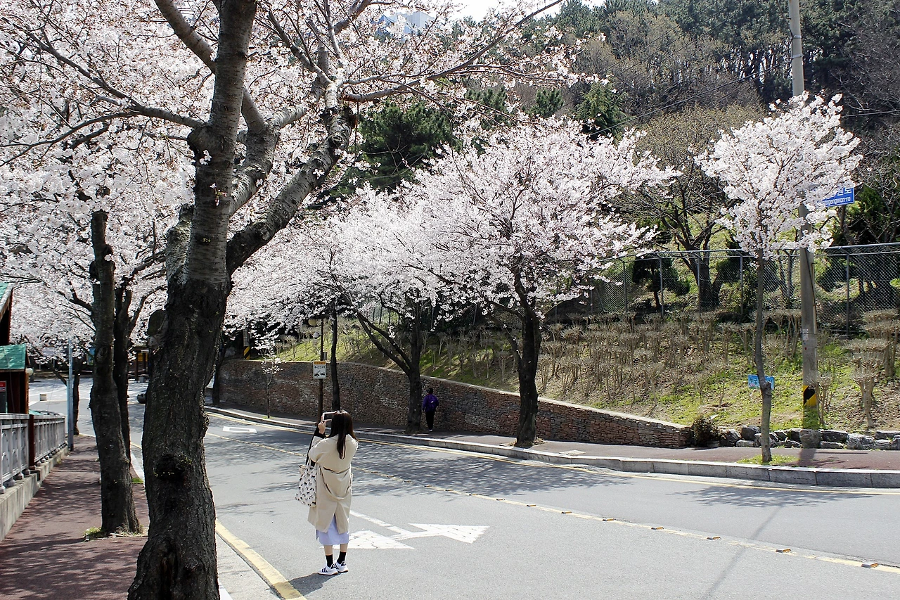 암남공원 (6).JPG