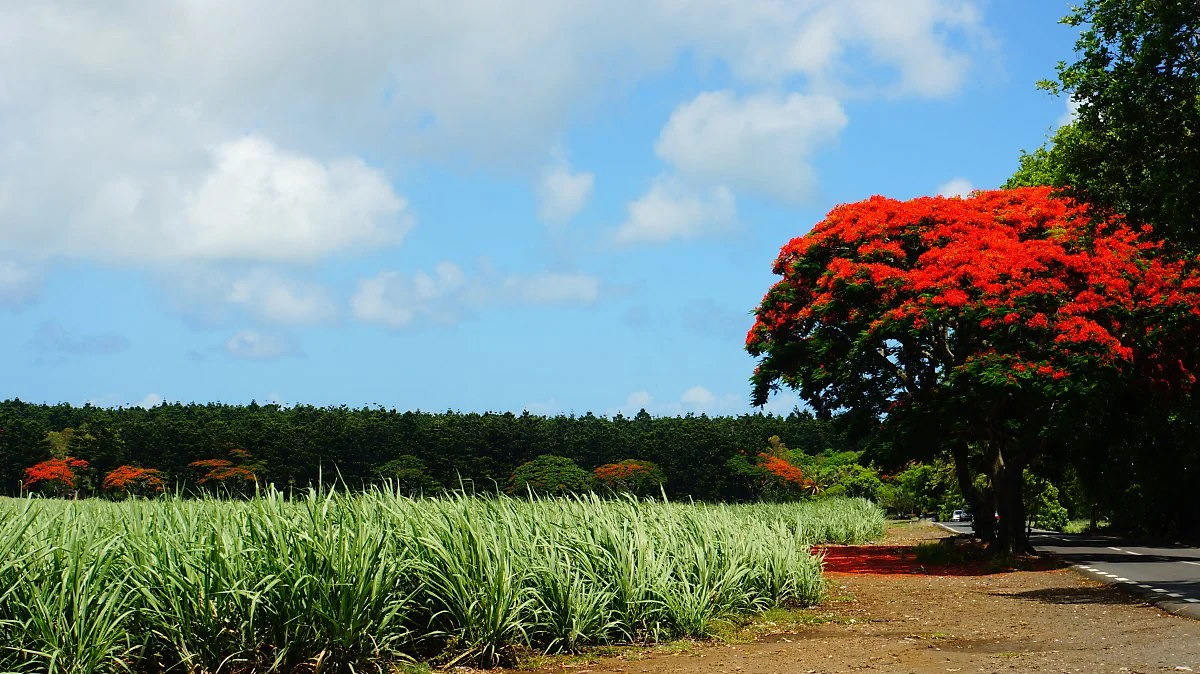 %EC%82%AC%ED%83%95%EC%88%98%EC%88%98_%282%29.JPG?type=w1200