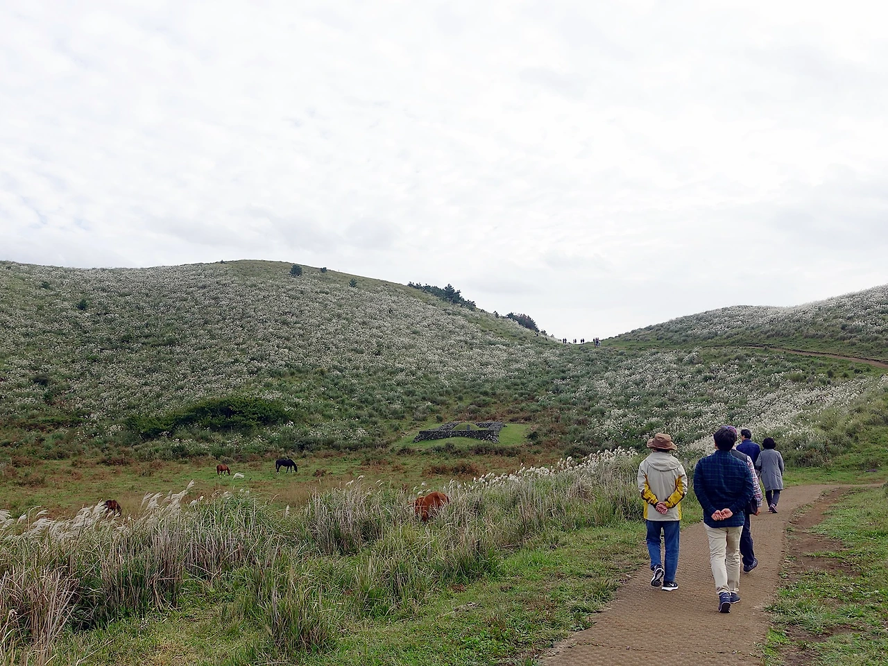 용눈이오름 (22).JPG