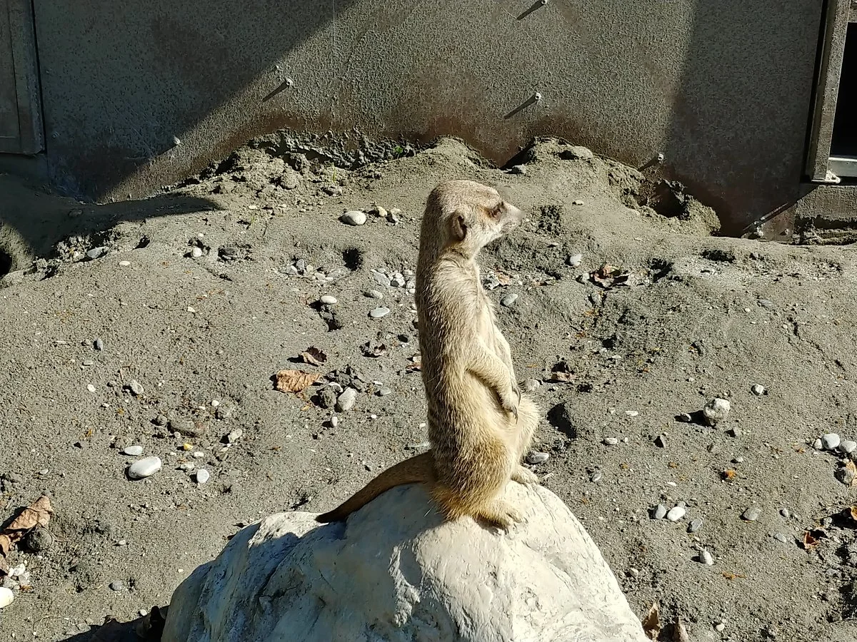 03%EC%8B%A0%EA%B4%91%EC%9E%90%EC%98%A4%ED%8E%91_%283%29.jpg?type=w1200