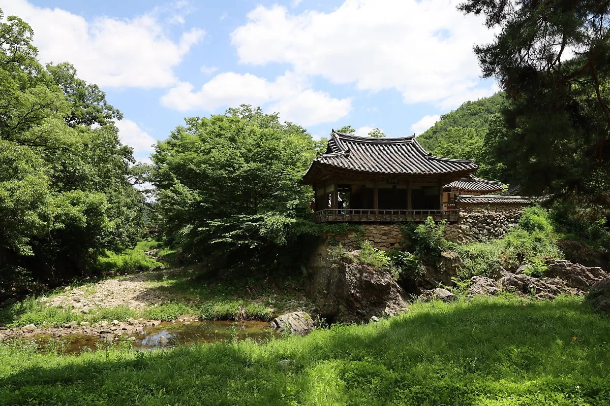 6._%EC%B4%88%EA%B0%84%EC%A0%95_%EC%8B%9C%EB%82%AD%EC%86%A1%ED%9A%8C_%281%29.JPG?type=w1200