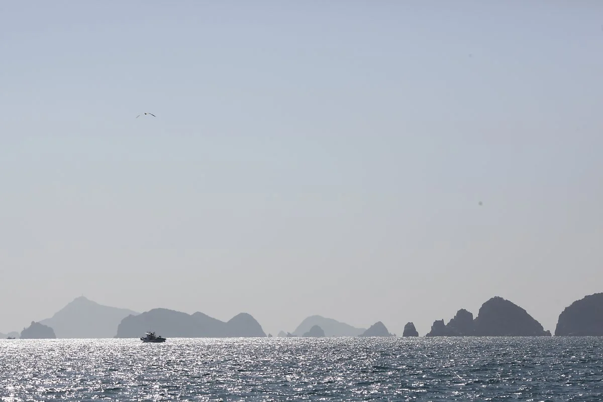 %EB%8B%A4%EB%8F%84%ED%95%B4_%282%29.JPG?type=w1200