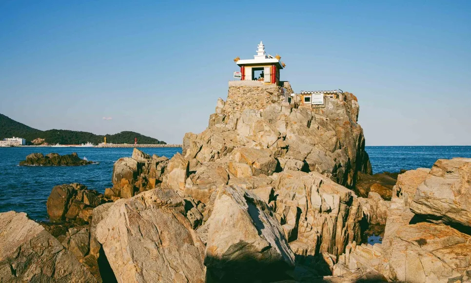 _86A4114_%EB%B3%B5%EC%82%AC.jpg?type=w966